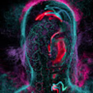 Meet your Posher, Maxwell